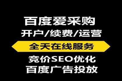行业领先的SEM投放效果案例解析