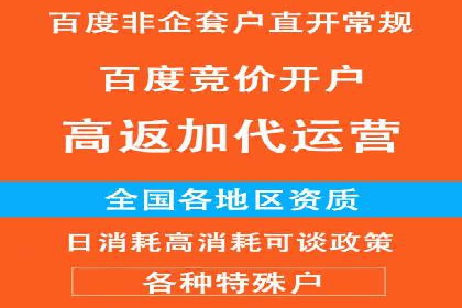 案例分析：打造高效竞价推广策略